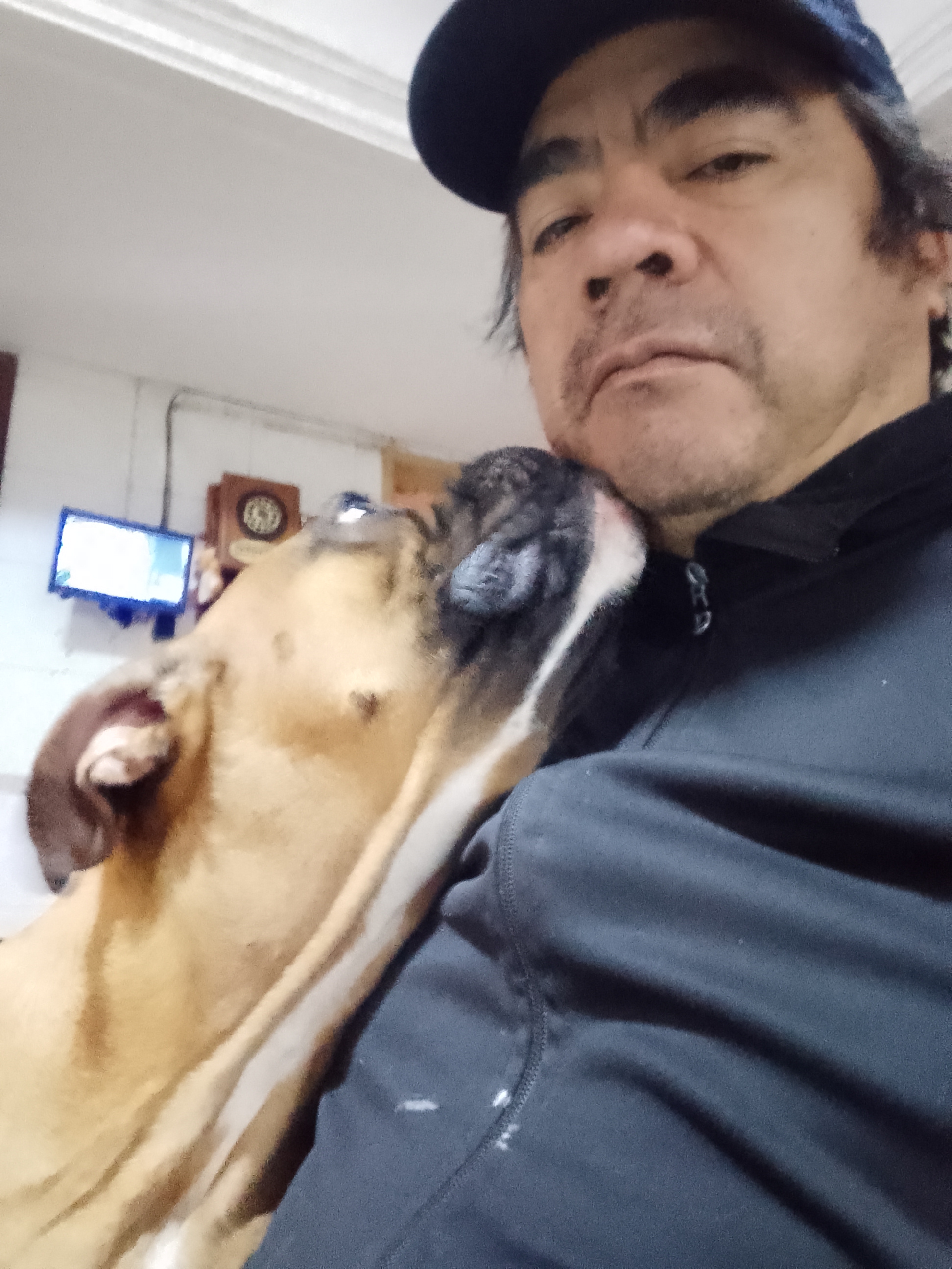 Jorge, Pintor en Buenos Aires (CABA)